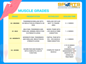 Table for calf strain healing times