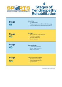 4 stages of tendinopathy rehab