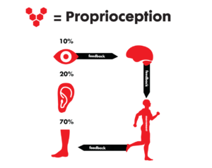 how Proprioception woks