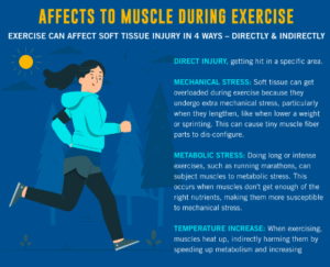 Affects on muscles during exercise