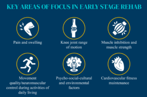 6 key areas to focus on during early ACL rehabilitation 