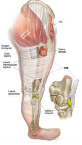 ITB and the fat pad benath